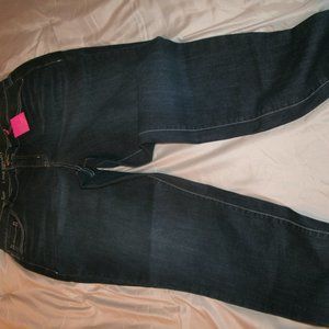 Lane Bryant Skinny Jeans Dark Wash Regular